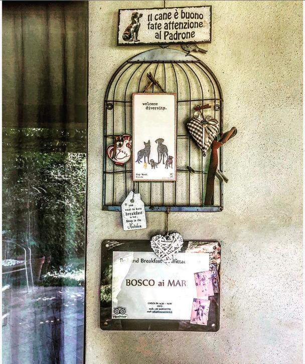 Bosco Ai Marzi Bed & Breakfast Poggibonsi Ngoại thất bức ảnh