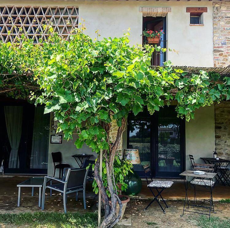 Bosco Ai Marzi Bed & Breakfast Poggibonsi Ngoại thất bức ảnh